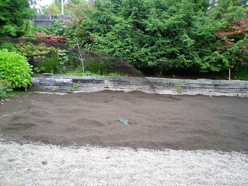 Septic System Installation Landscaped Area
