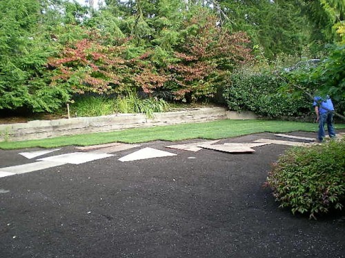 Septic System Installation Landscaped Area