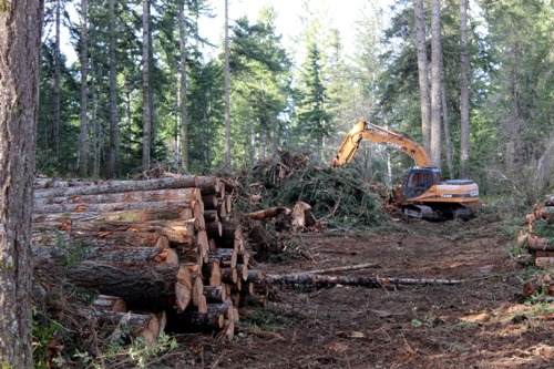 Land Clearing Services