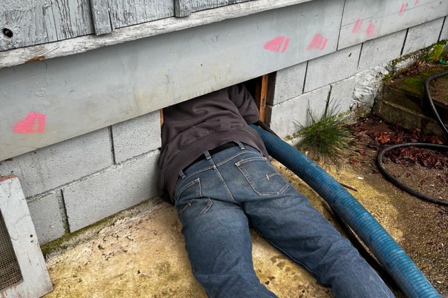 Read more: SEPTIC REPAIR